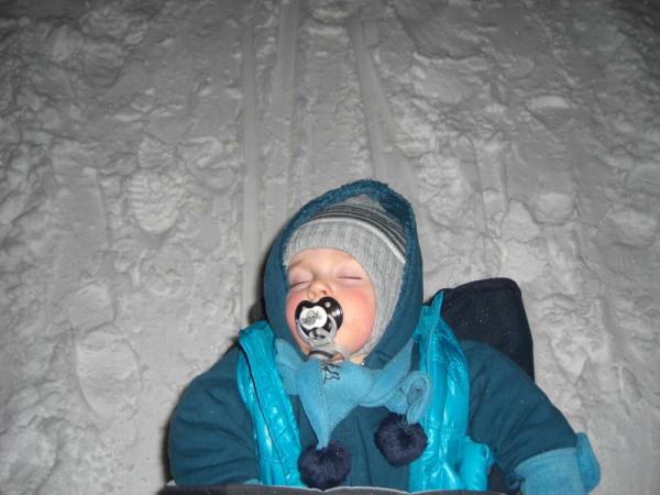 Bild zu 