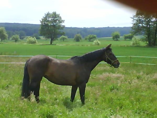 Bild zu Ach mein Menne... - Forum für März - Mamis