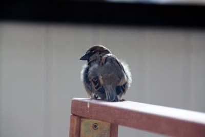 Bild zu Frühlingsgefühle... - Forum für März - Mamis