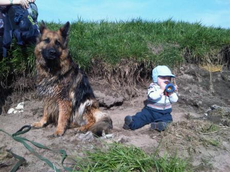Bild zu
