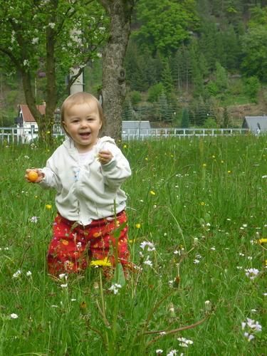 Bild zu 