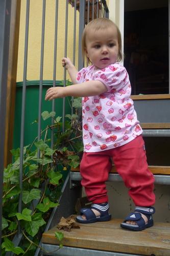 Bild zu