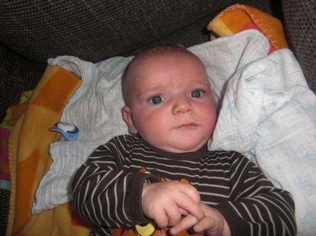 Bild zu