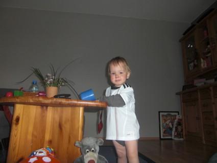 Bild zu