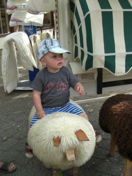 Bild zu 