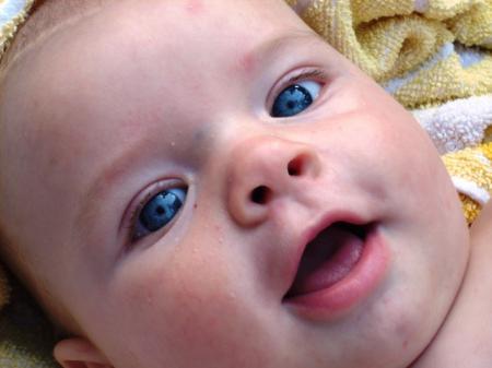 Bild zu 