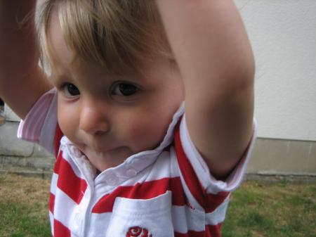 Bild zu 