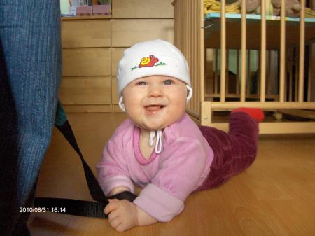 Bild zu