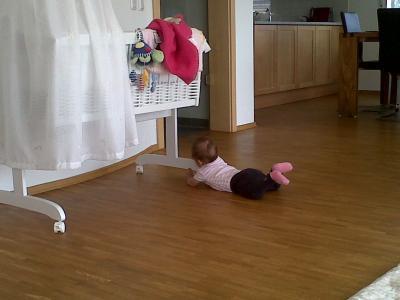 Bild zu Robben - Forum für März - Mamis