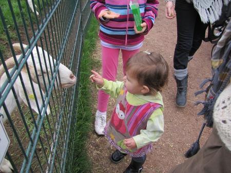Bild zu 