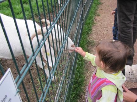 Bild zu 