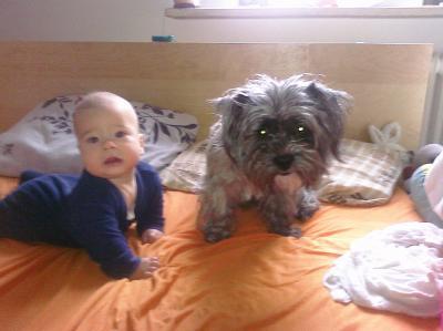 Bild zu @ all abnehmer, krankheit, ... - Forum für März - Mamis