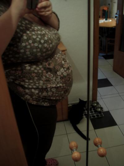 Bild zu Meine Zwillingskugel .... - Forum für März - Mamis