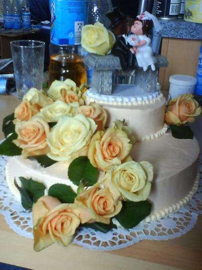 Bild zu Angeforderte Tortenbilder - Forum für März - Mamis