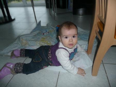 Bild zu