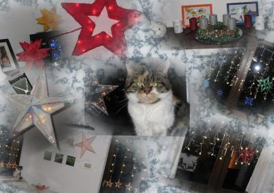 Bild zu bei uns hat weihnachten einzug gehalten - Forum für März - Mamis