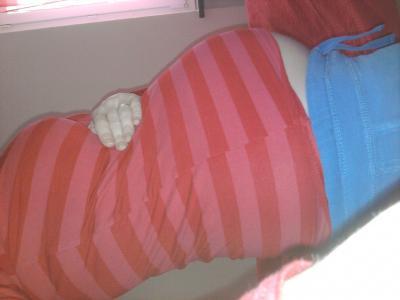 Bild zu noch ein paar fotos,von meinem bauchi usw. :-) - Forum für März - Mamis