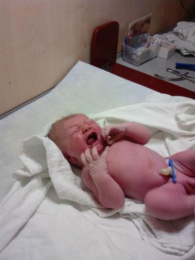 Bild zu AN ALLE MÄRZMAMAS, ICH WÜNSCHE EUCH - Forum für März - Mamis