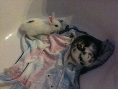 Bild zu Mein Mann ist so süss :-) - Forum für März - Mamis