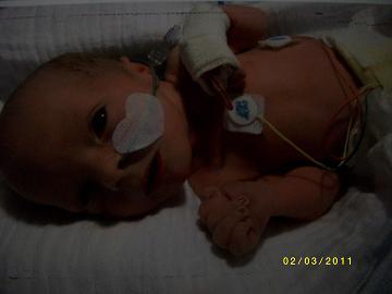 Bild zu Jonas und Julian sind da!!!! - Forum für März - Mamis