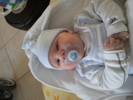 Bild zu