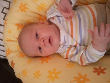 Bild zu