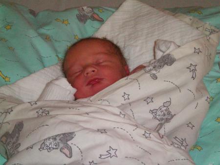 Bild zu 