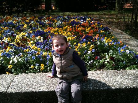 Bild zu 