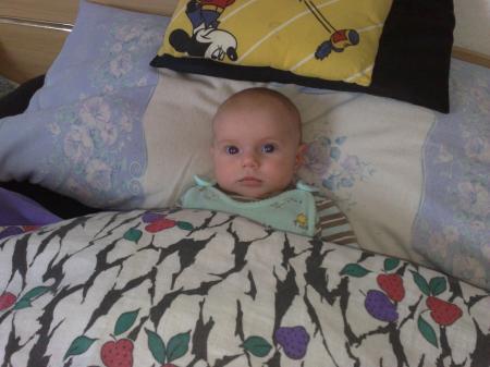 Bild zu 
