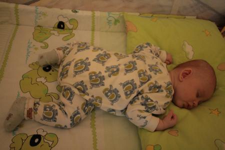 Bild zu 