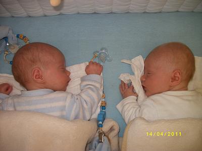 Bild zu 