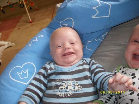 Bild zu