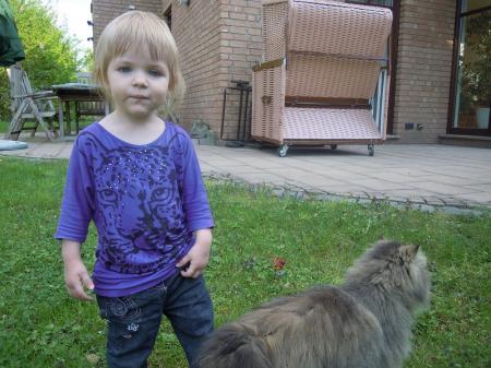 Bild zu