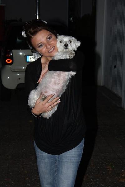 Bild zu