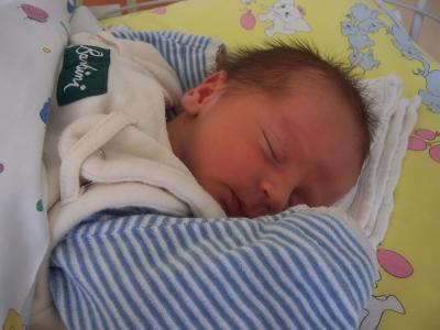 Bild zu Endlich zu viert zu Hause - Forum für März - Mamis