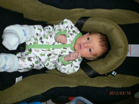 Bild zu