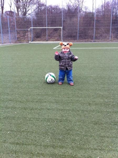 Bild zu