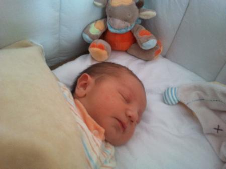 Bild zu 