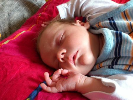 Bild zu 