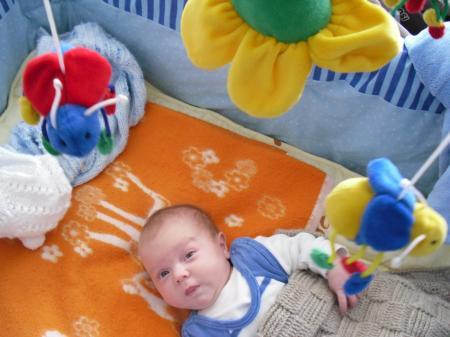 Bild zu