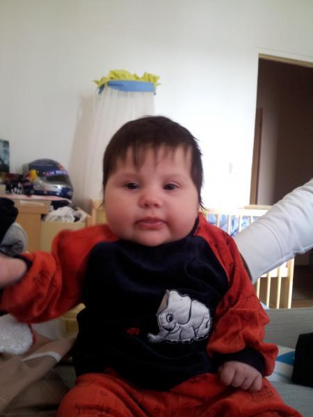 Bild zu 