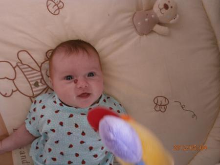 Bild zu