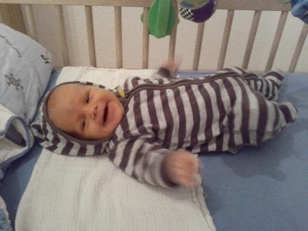 Bild zu