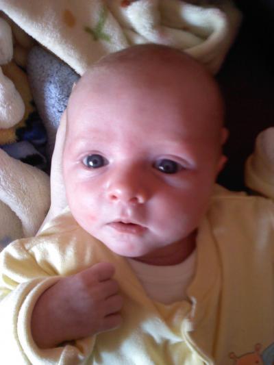 Bild zu PRe- und 1er Nahrung - Forum für März - Mamis