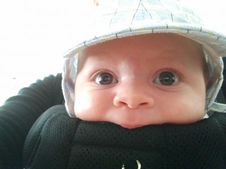 Bild zu