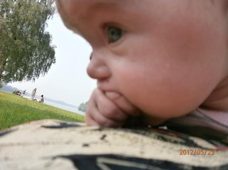Bild zu 