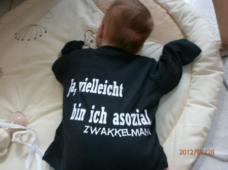 Bild zu 