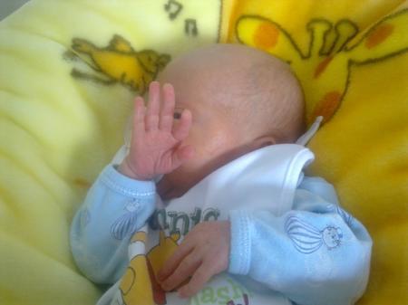 Bild zu 