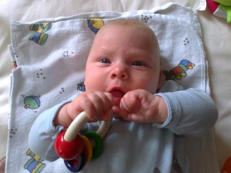 Bild zu 
