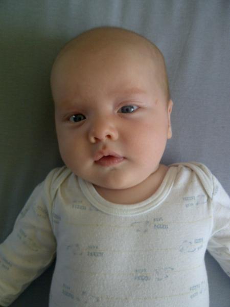 Bild zu 
